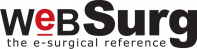 gallery/logo_websurg